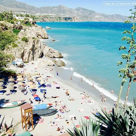 Elli Torrecilla By Scandic Feel Nerja